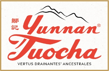 Yunnan Tuocha