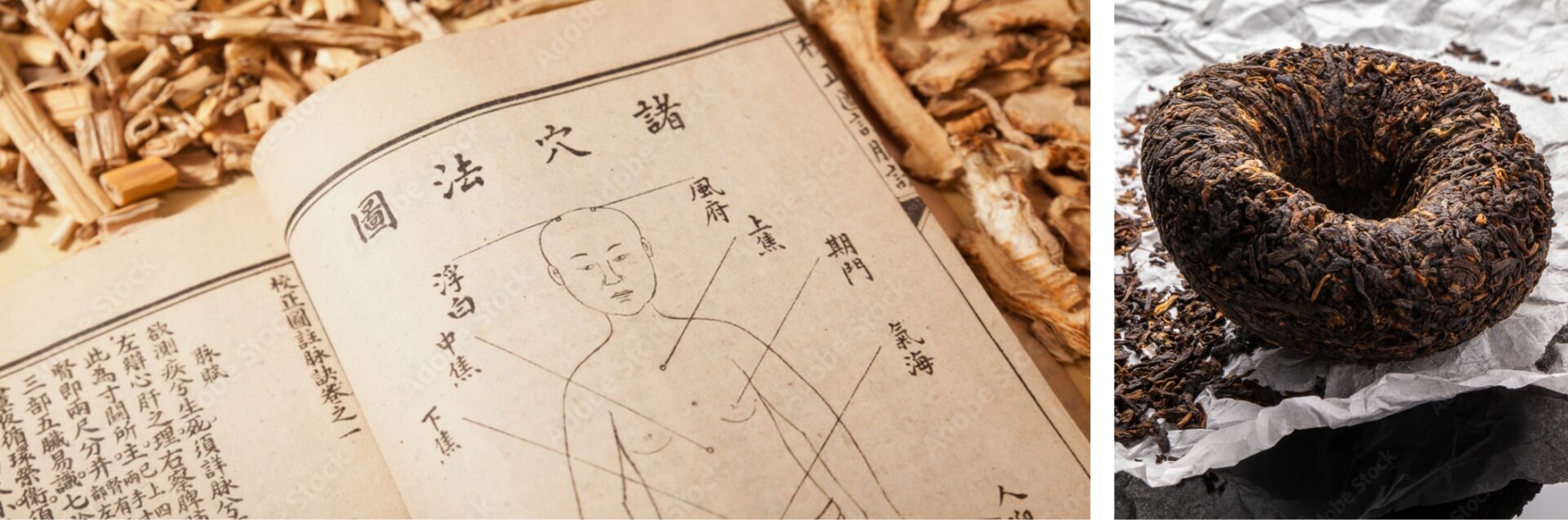 Un Héritage Thérapeutique